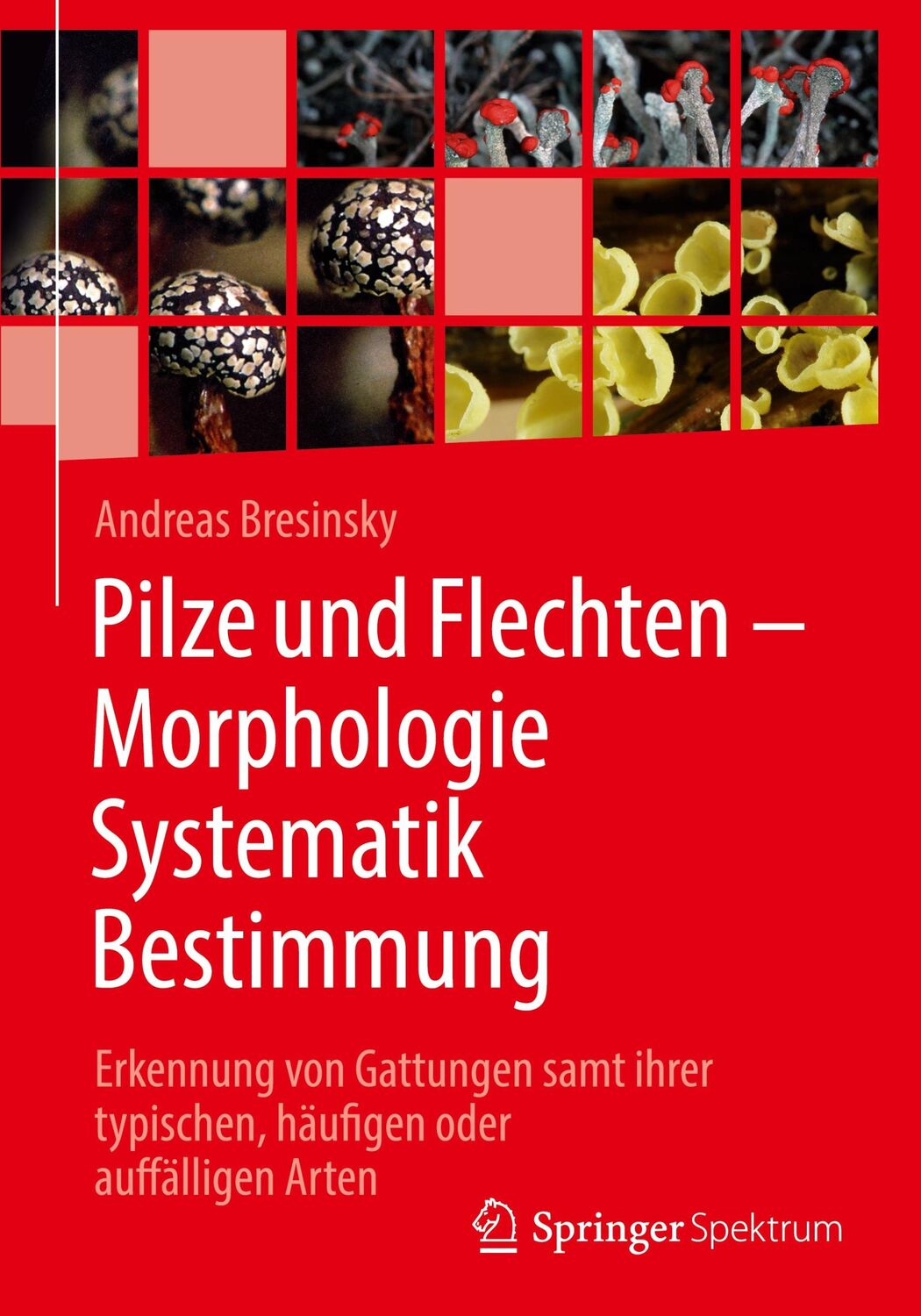 Cover: 9783662631102 | Pilze und Flechten ¿ Morphologie, Systematik, Bestimmung | Bresinsky