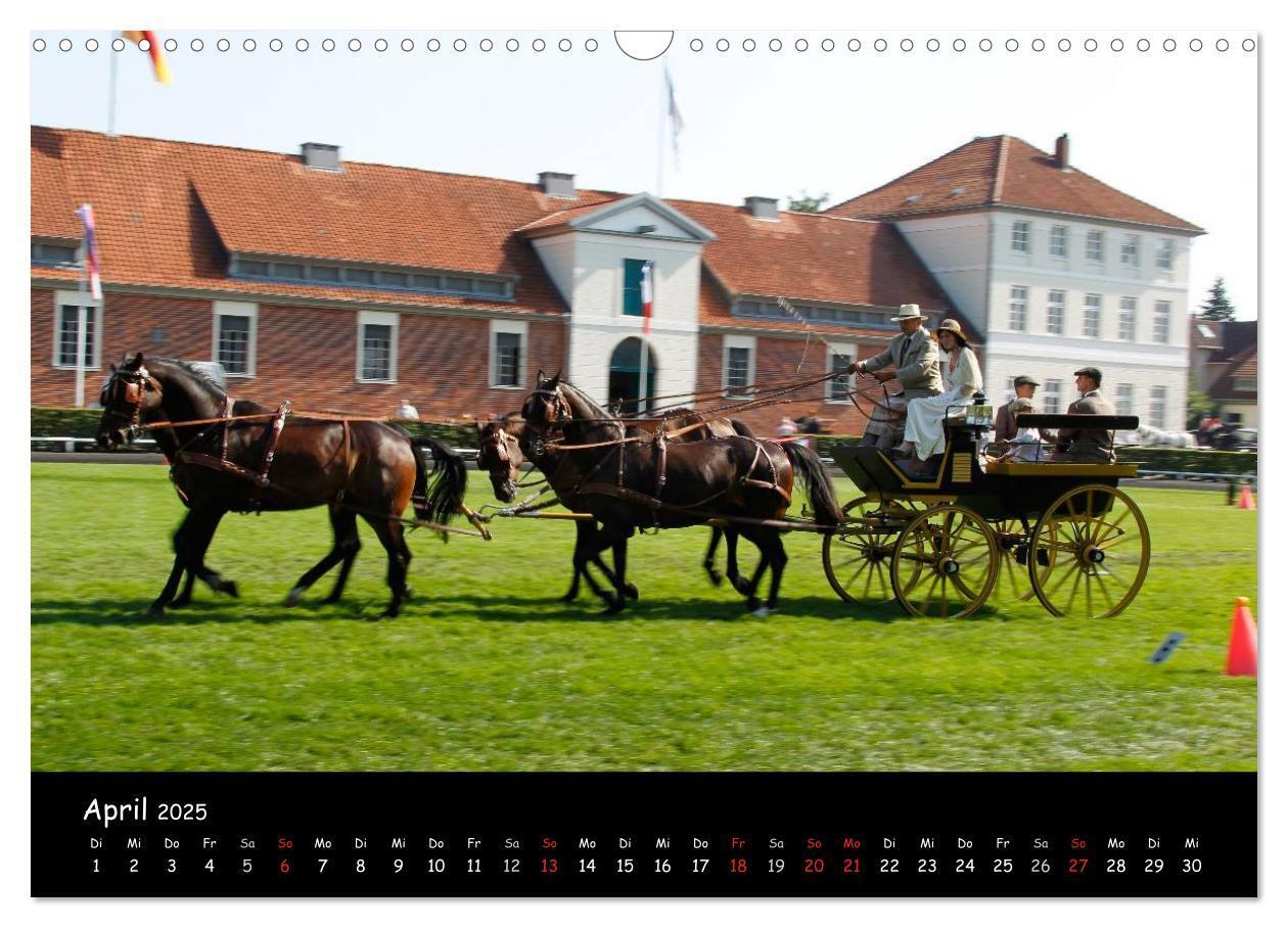 Bild: 9783435553457 | CIAT - Historischer Fahrsport in Celle (Wandkalender 2025 DIN A3...