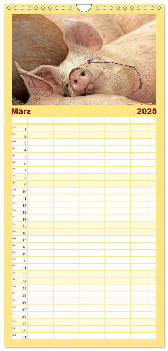 Bild: 9783457116715 | Familienplaner 2025 - Der Schweinekalender mit 5 Spalten...