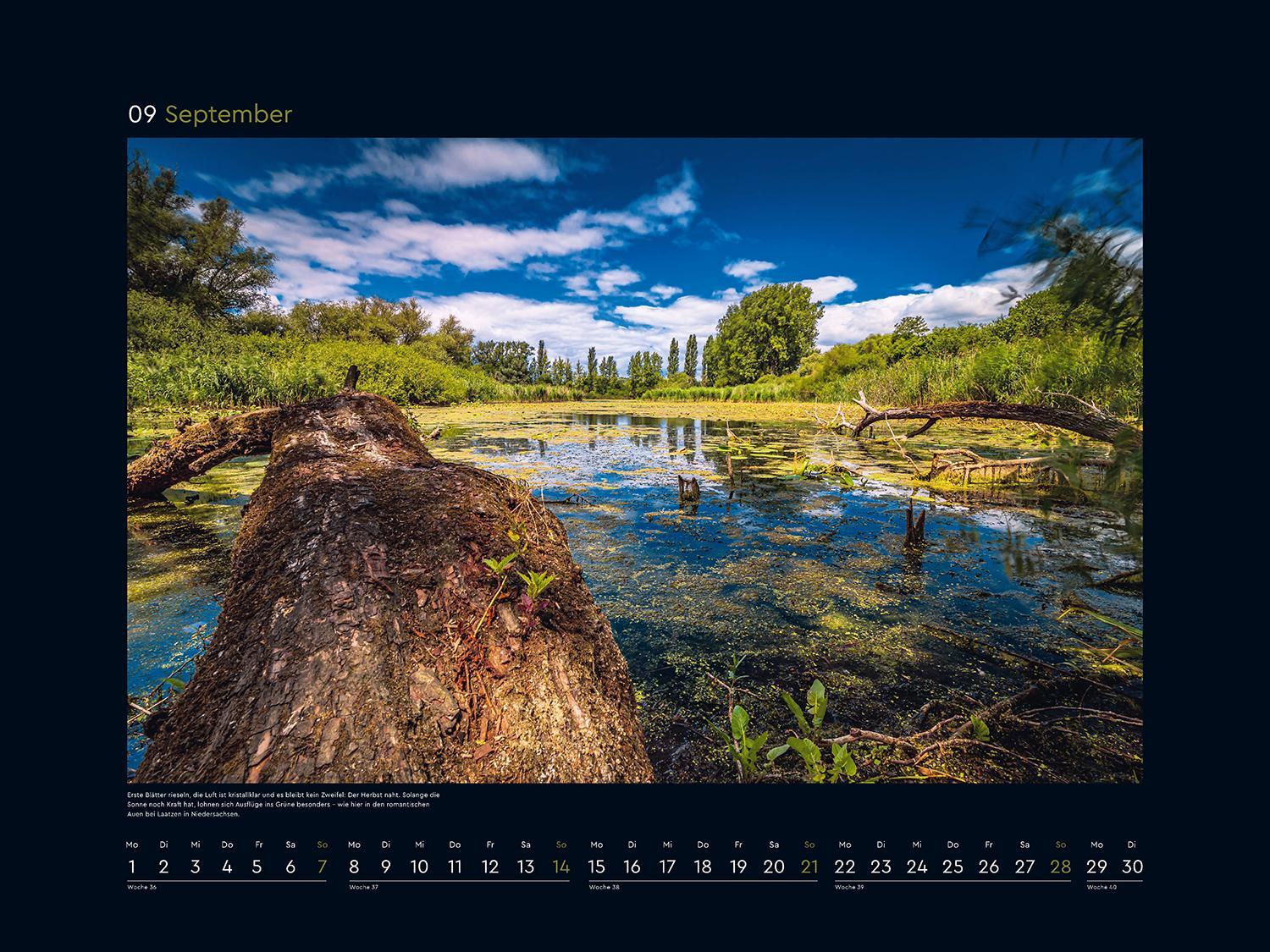 Bild: 9783965913561 | Wildnis Deutschland - KUNTH Wandkalender 2025 | Kalender | 14 S.