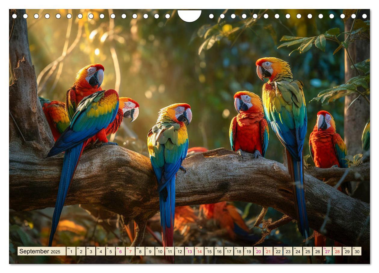 Bild: 9783383867941 | Papageien - Ara (Wandkalender 2025 DIN A4 quer), CALVENDO...