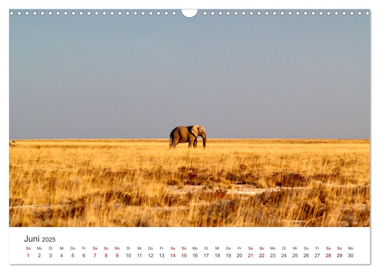 Bild: 9783383976902 | Namibia - Ein Paradies auf Erden. (Wandkalender 2025 DIN A3 quer),...