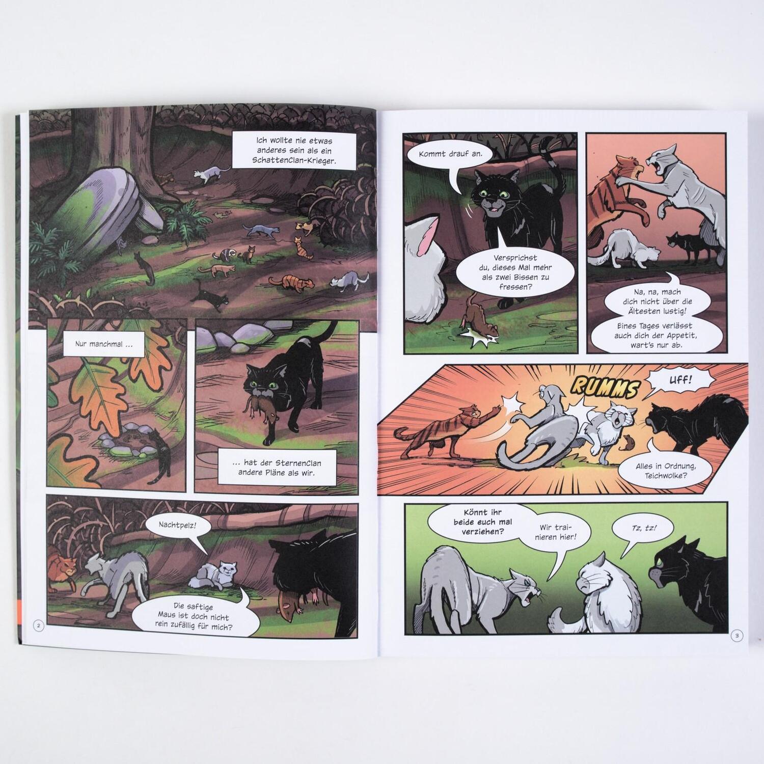 Bild: 9783407757258 | Warrior Cats - Verbannung aus dem SchattenClan | Graphic Novel | Buch