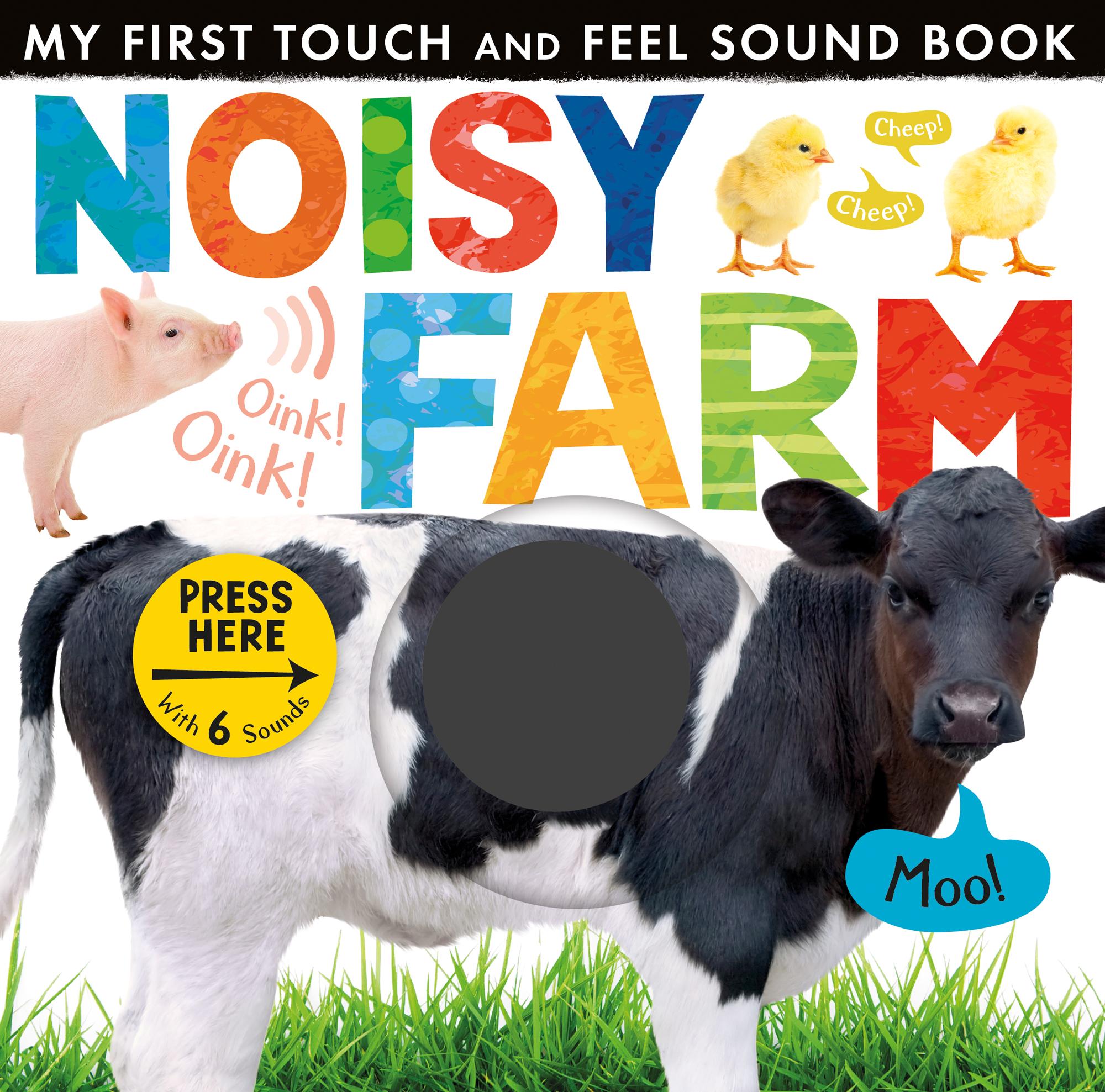 Cover: 9781848956995 | Noisy Farm | Little Tiger Press | Buch | Gebunden | Englisch | 2013