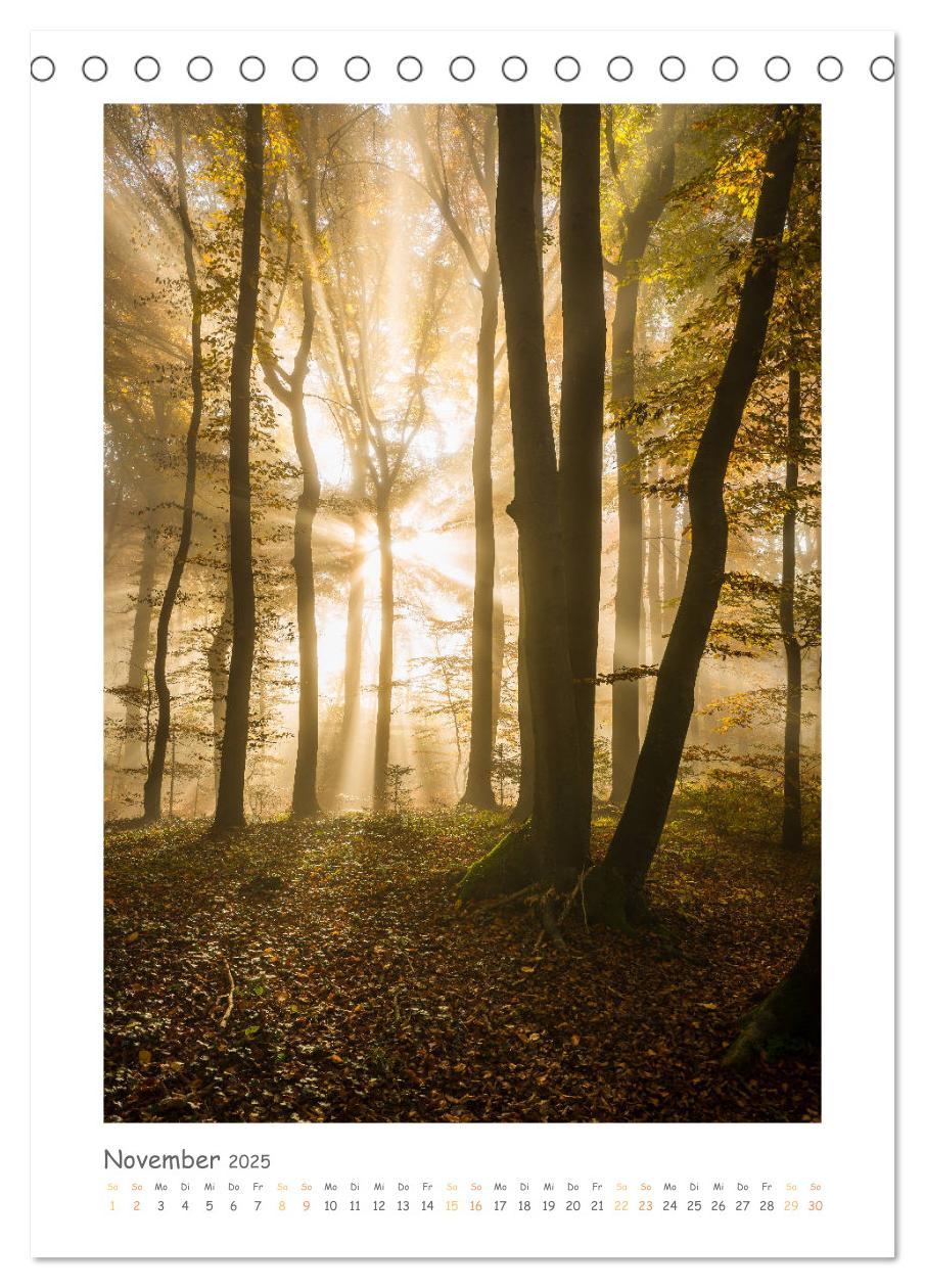 Bild: 9783435988891 | peaceful silence - einsame Landschaften (Tischkalender 2025 DIN A5...