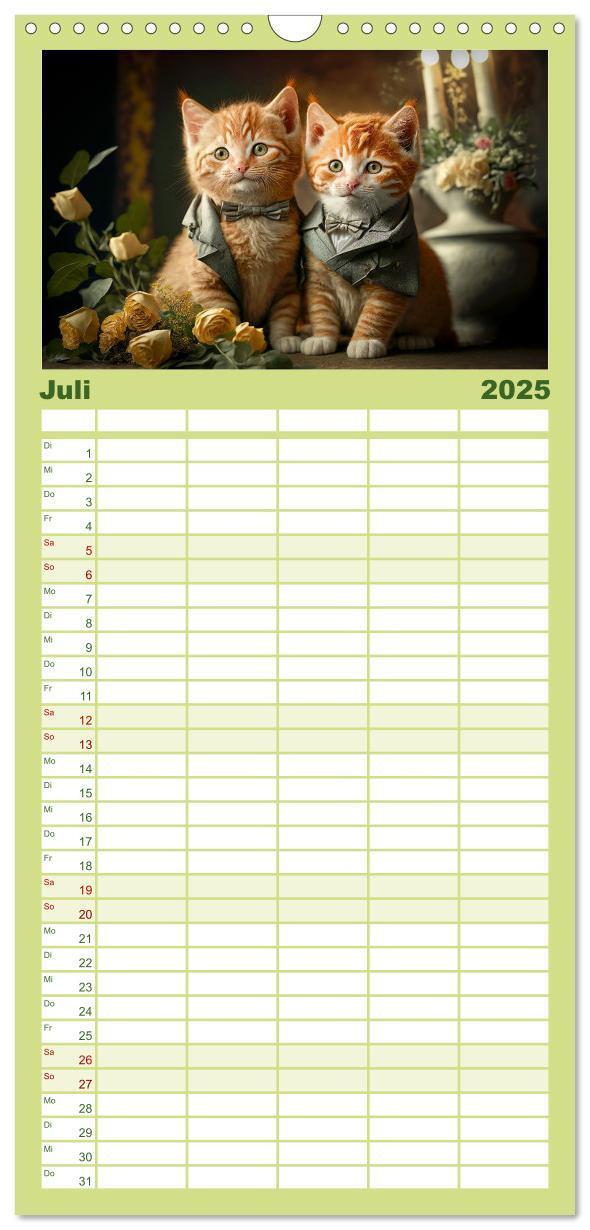 Bild: 9783457094228 | Familienplaner 2025 - Katzen Freunde mit 5 Spalten (Wandkalender,...