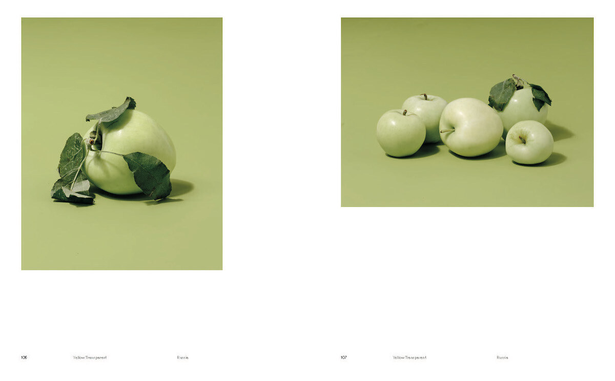 Bild: 9783775751155 | Odd Apples | (Special Edition) | A.A. Trabucco-Campos (u. a.) | Buch