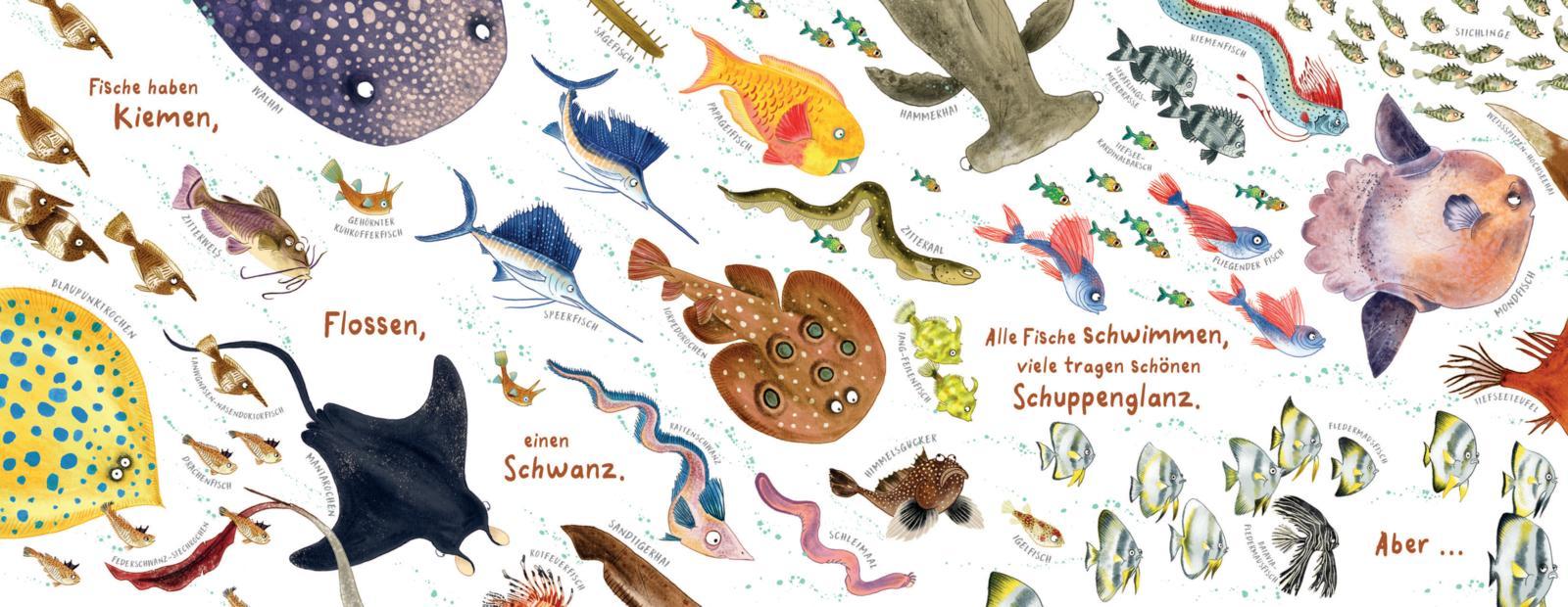 Bild: 9783522459990 | Ausgeflippte Fische | Debra Kempf Shumaker | Buch | 40 S. | Deutsch