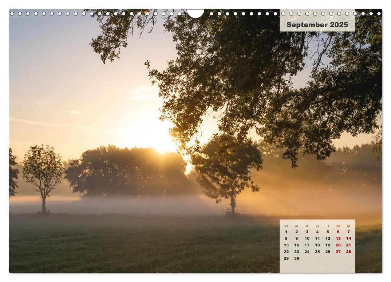 Bild: 9783383922626 | Ein Jahr Niederrhein Wiesen und Wälder (Wandkalender 2025 DIN A3...