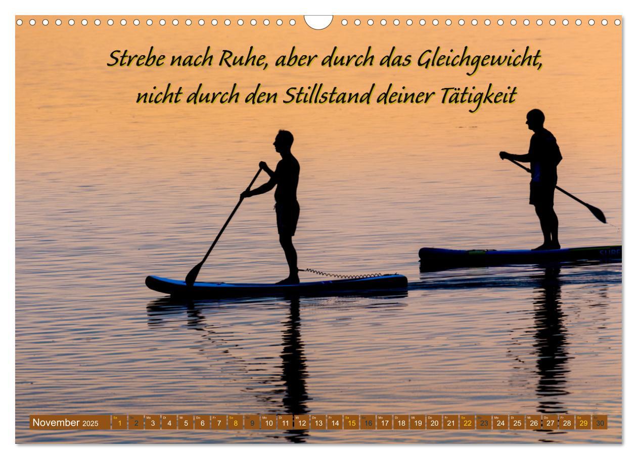 Bild: 9783383905674 | Schwimmen und SUP Begleitet mit coolen Sprüchen (Wandkalender 2025...