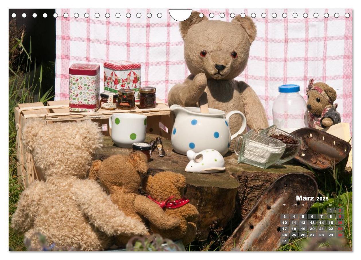 Bild: 9783435576586 | Geliebte Bären - Teddys (Wandkalender 2025 DIN A4 quer), CALVENDO...