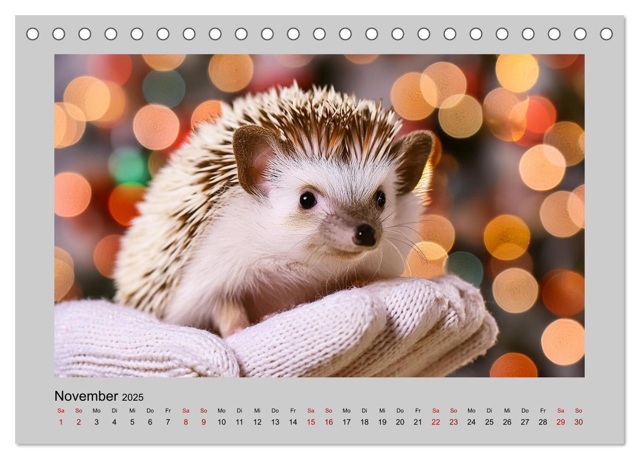 Bild: 9783435516230 | Mein Igel-Kalender (Tischkalender 2025 DIN A5 quer), CALVENDO...