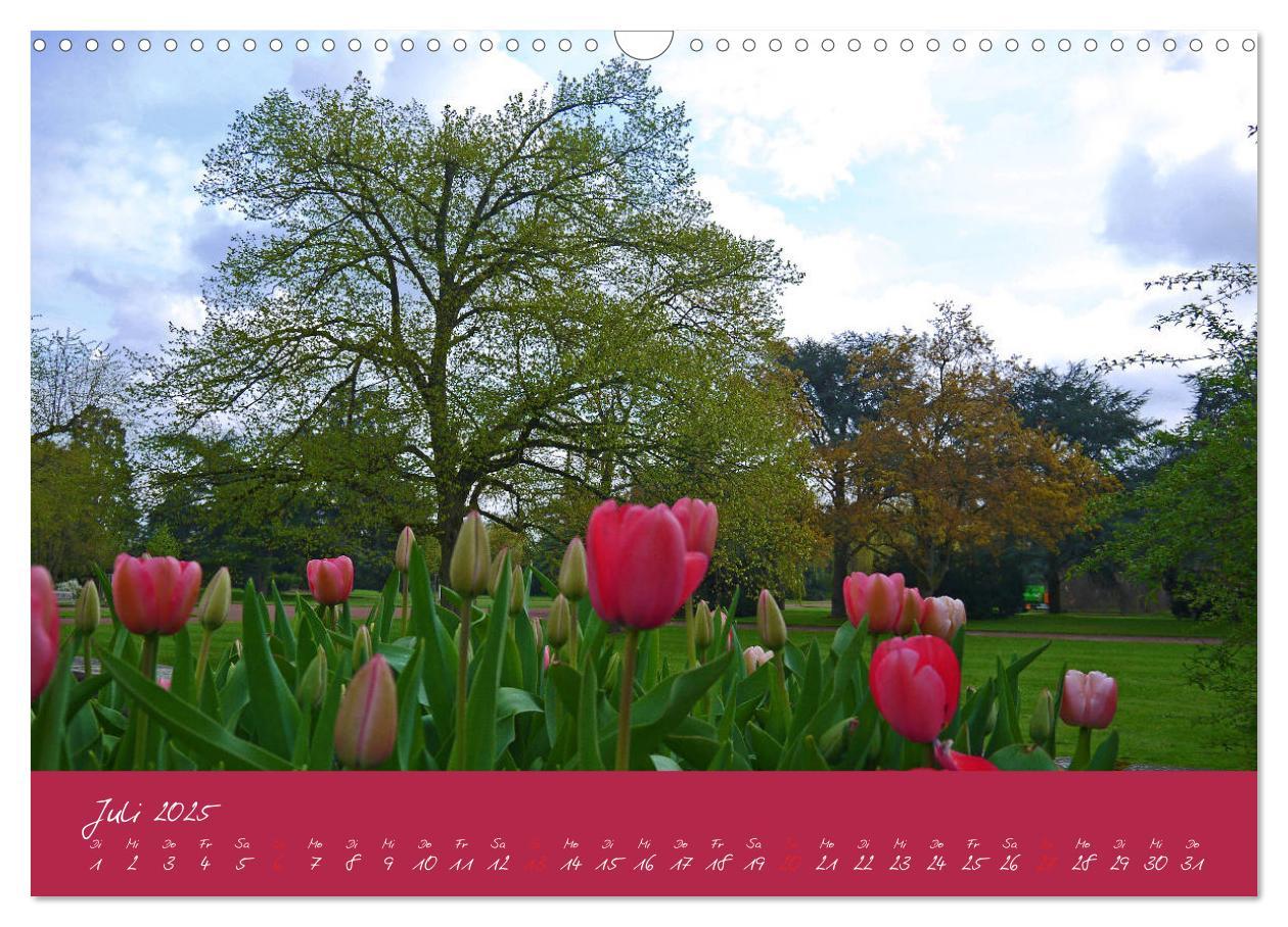 Bild: 9783435255375 | Düsseldorfer Nordpark (Wandkalender 2025 DIN A3 quer), CALVENDO...