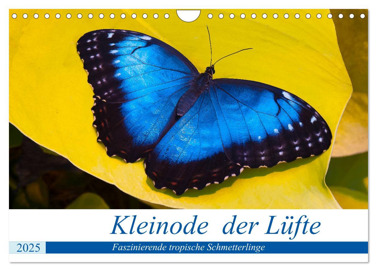 Cover: 9783435437184 | Kleinode der Lüfte - Faszinierende tropische Schmetterlinge...