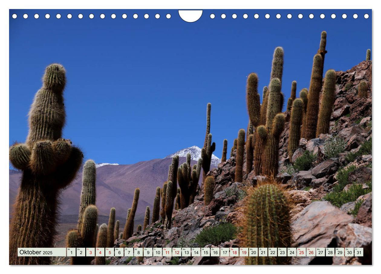 Bild: 9783435235612 | ATACAMA Wunder der Natur (Wandkalender 2025 DIN A4 quer), CALVENDO...