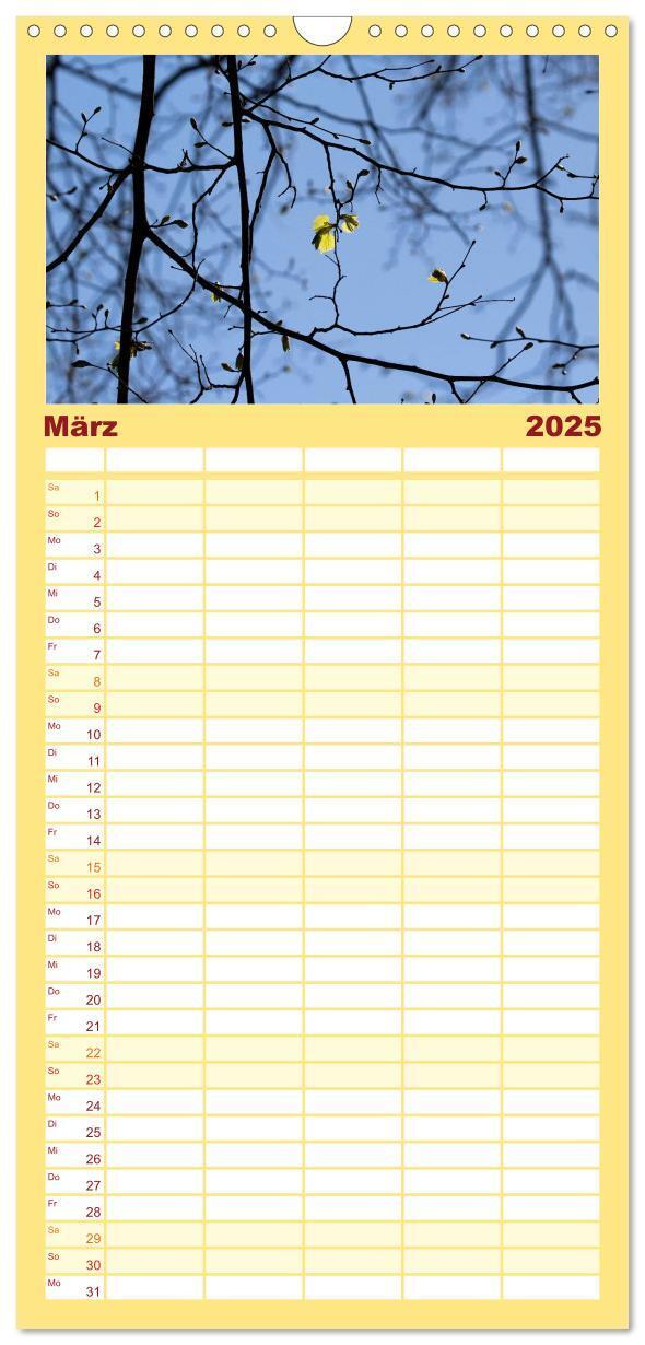 Bild: 9783457105207 | Familienplaner 2025 - Blätter mit 5 Spalten (Wandkalender, 21 x 45...