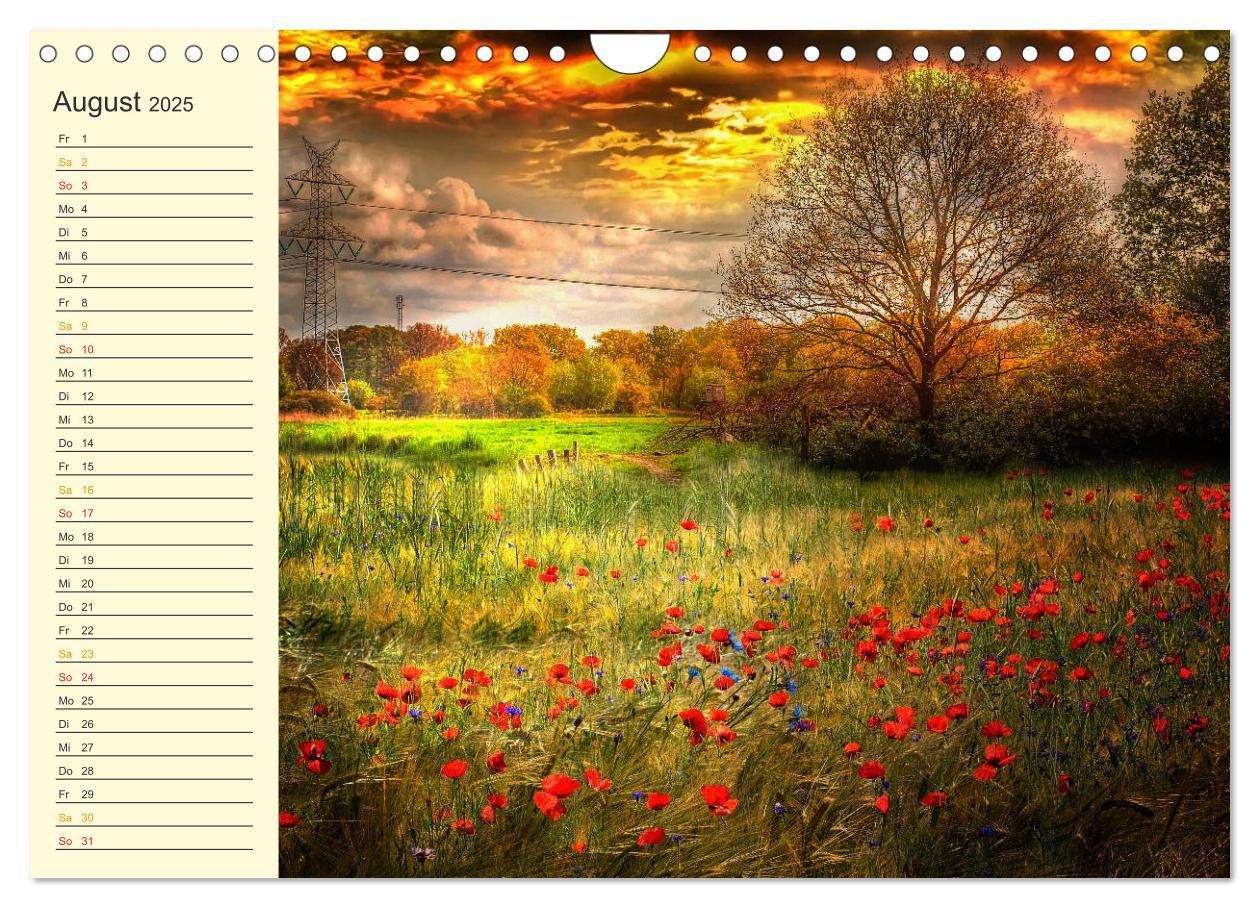 Bild: 9783435792191 | Friesland, verzauberte Landschaft an der Nordsee (Wandkalender 2025...