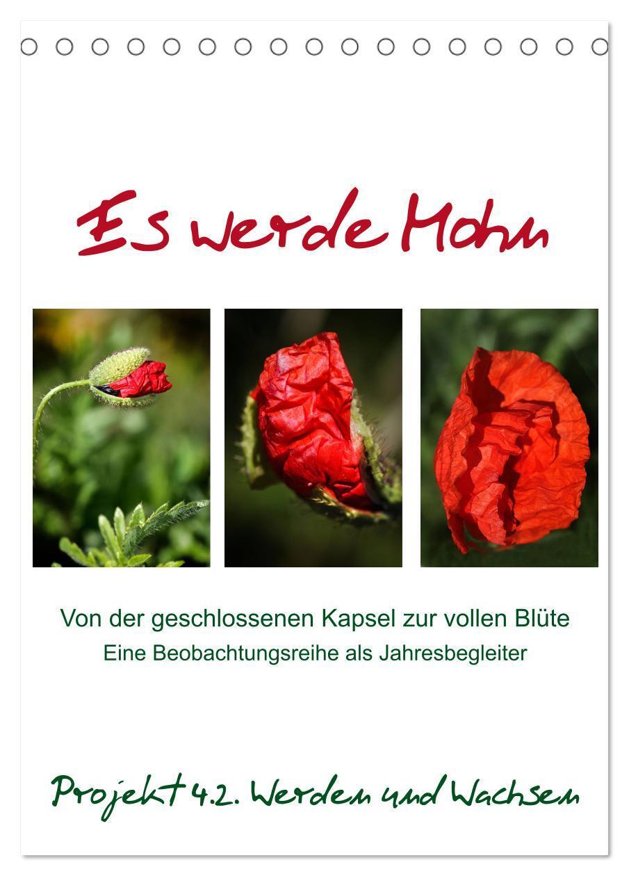 Cover: 9783435926992 | Es werde Mohn (Tischkalender 2025 DIN A5 hoch), CALVENDO...