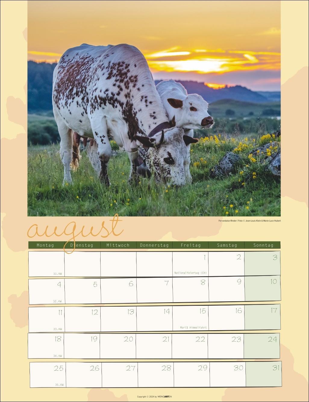 Bild: 9783839900734 | Kuh Kalender 2025 | Kalender | Spiralbindung | 14 S. | Deutsch | 2025