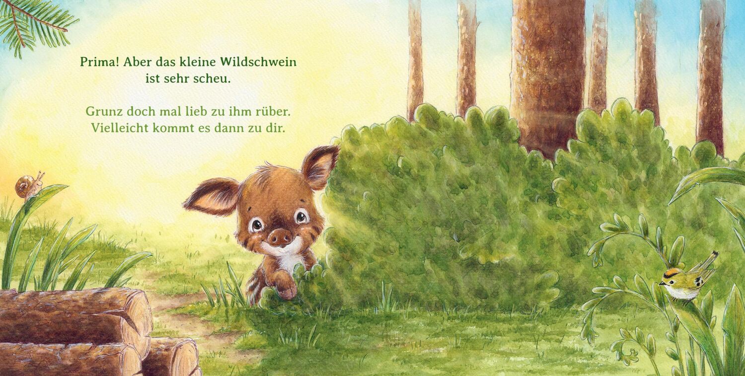 Bild: 9783833908118 | Ein Rüsselküsschen für dich | Sophie Schoenwald | Buch | 26 S. | 2023