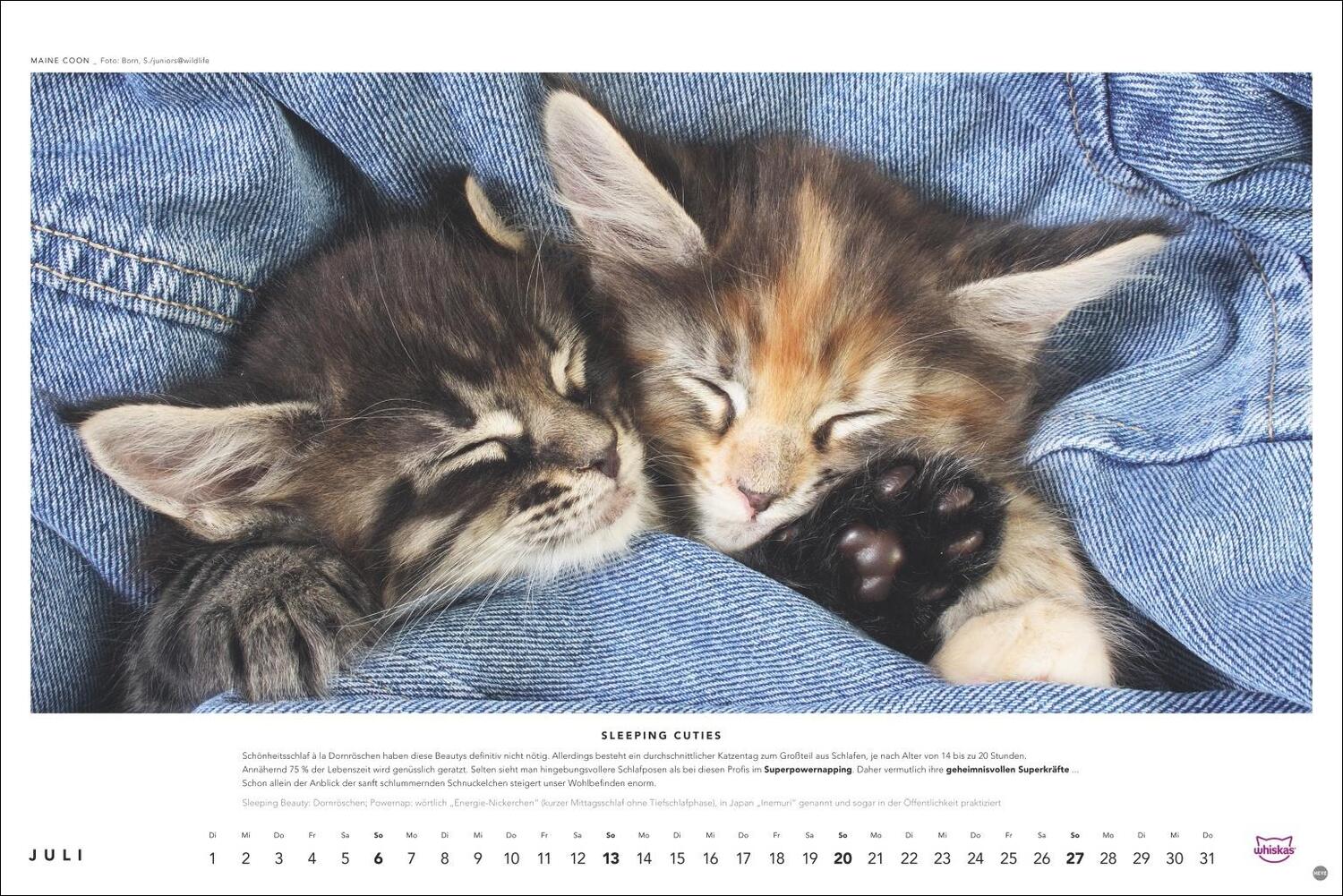 Bild: 9783756404971 | Whiskas Katzenkalender 2025 | Heye | Kalender | Spiralbindung | 14 S.