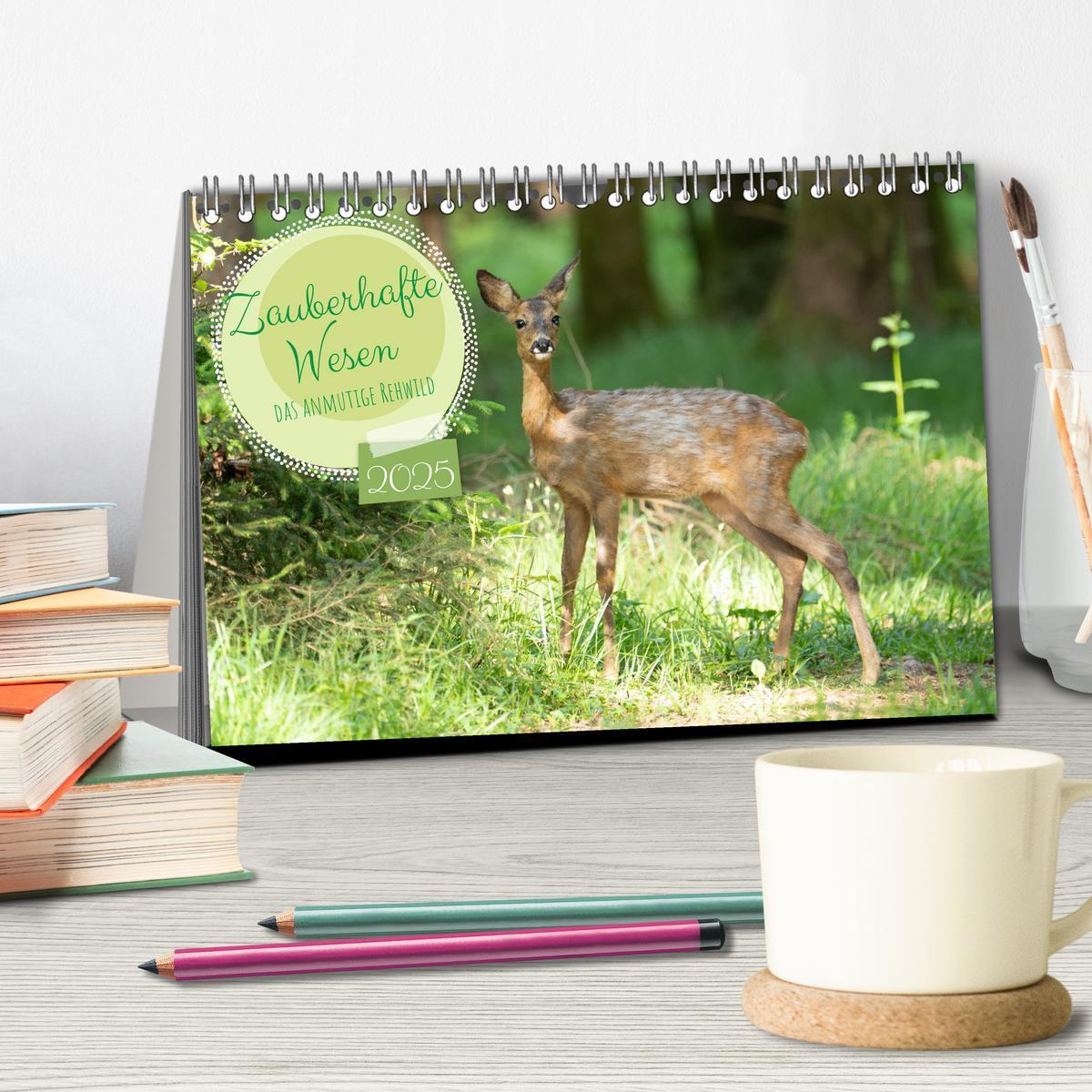 Bild: 9783457176061 | Zauberhafte Wesen - anmutiges Rehwild (Tischkalender 2025 DIN A5...