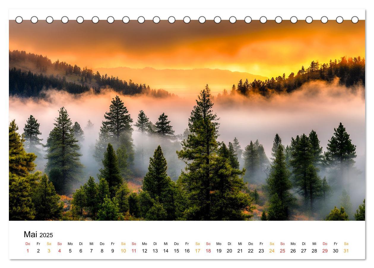 Bild: 9783457224809 | Mystik der Wälder (Tischkalender 2025 DIN A5 quer), CALVENDO...