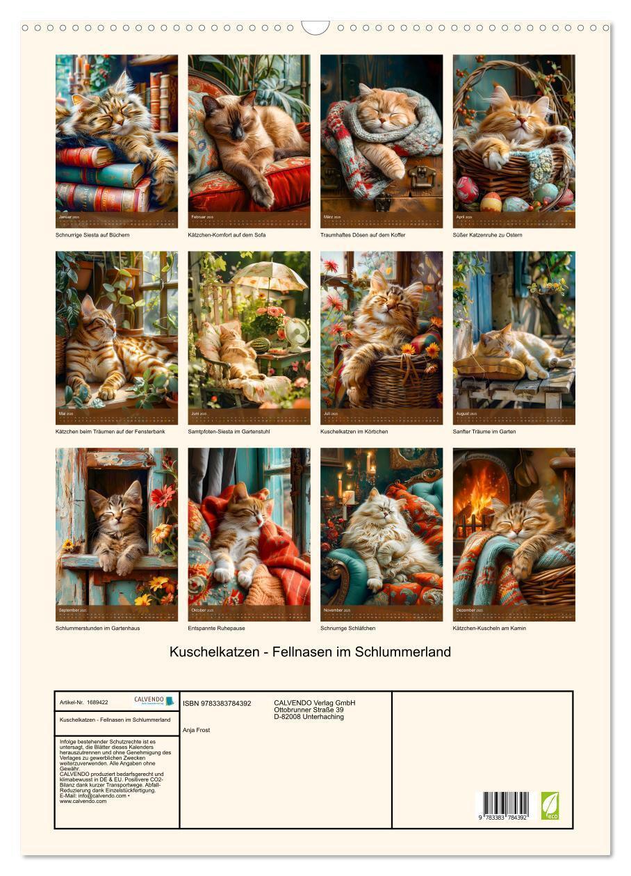 Bild: 9783383784392 | Kuschelkatzen - Fellnasen im Schlummerland (Wandkalender 2025 DIN...