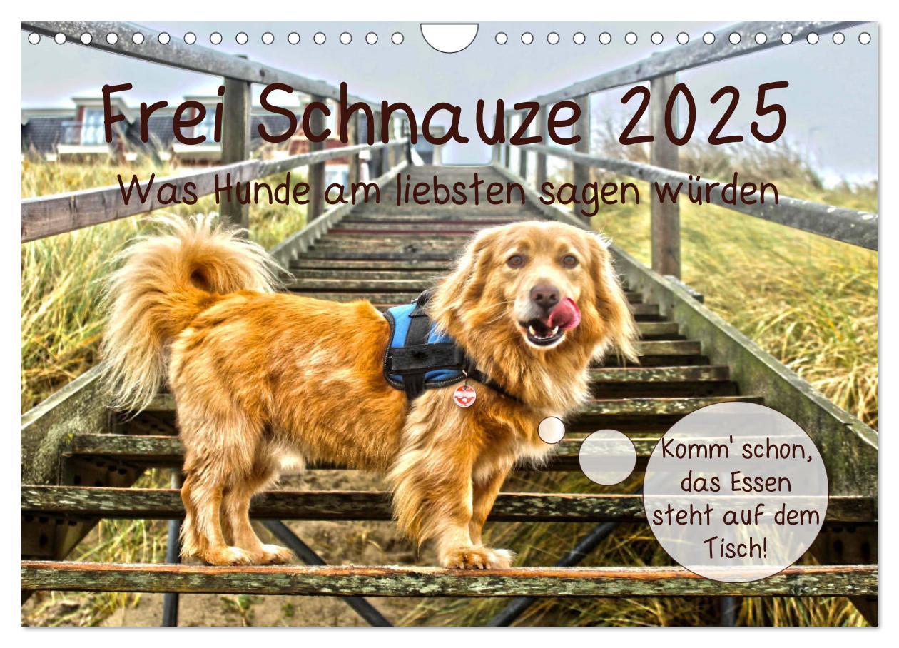 Cover: 9783435332168 | Frei Schnauze 2025. Was Hunde am liebsten sagen würden...