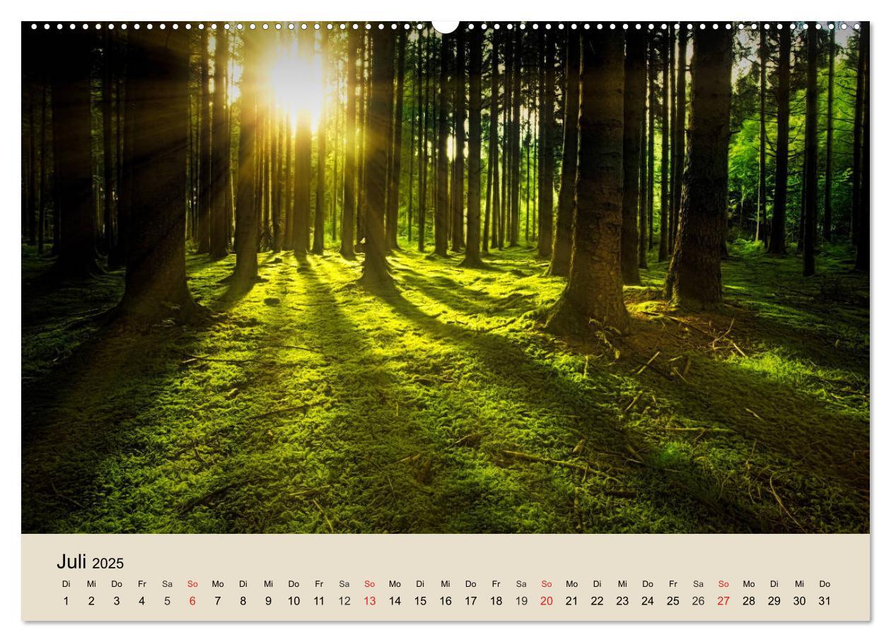 Bild: 9783435317714 | Der Wald. Durch zauberhafte Waldlandschaften (Wandkalender 2025 DIN...