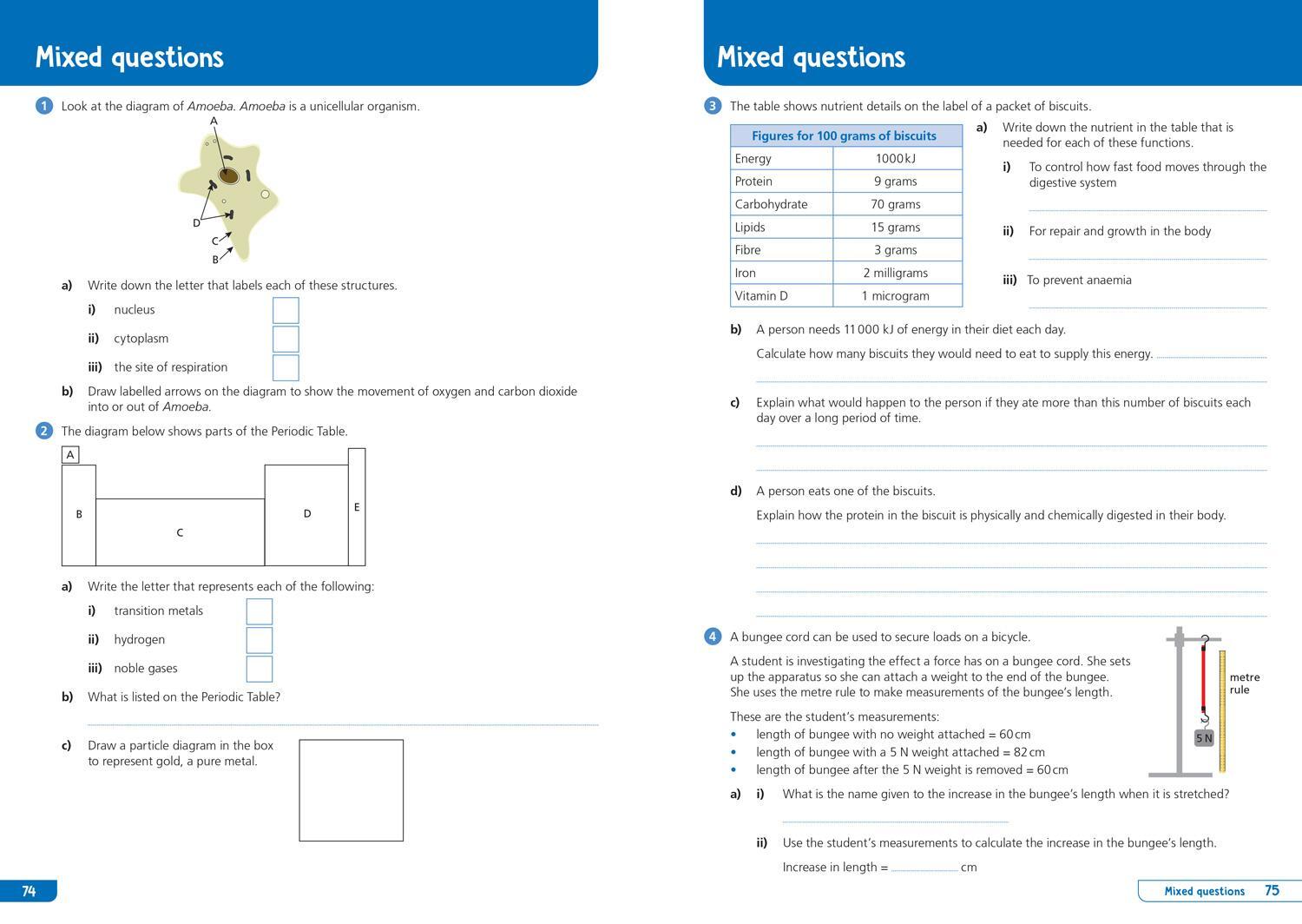 Bild: 9780008598679 | KS3 Science Year 7: Organise and retrieve your knowledge | Collins KS3