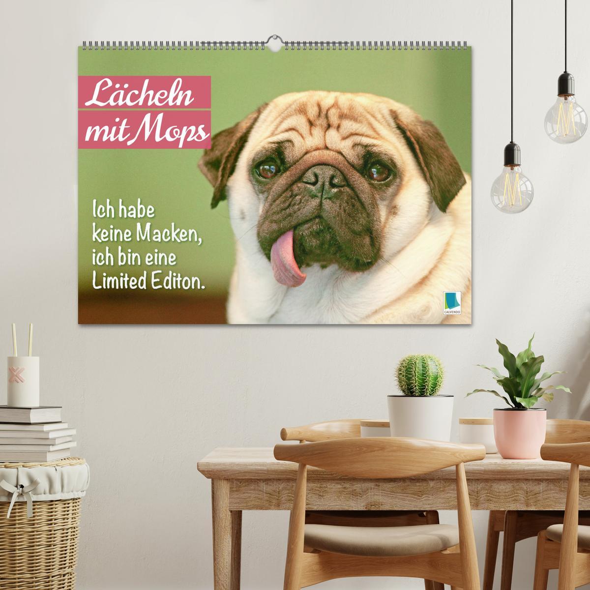 Bild: 9783457167205 | Lächeln mit Mops (Wandkalender 2025 DIN A2 quer), CALVENDO...