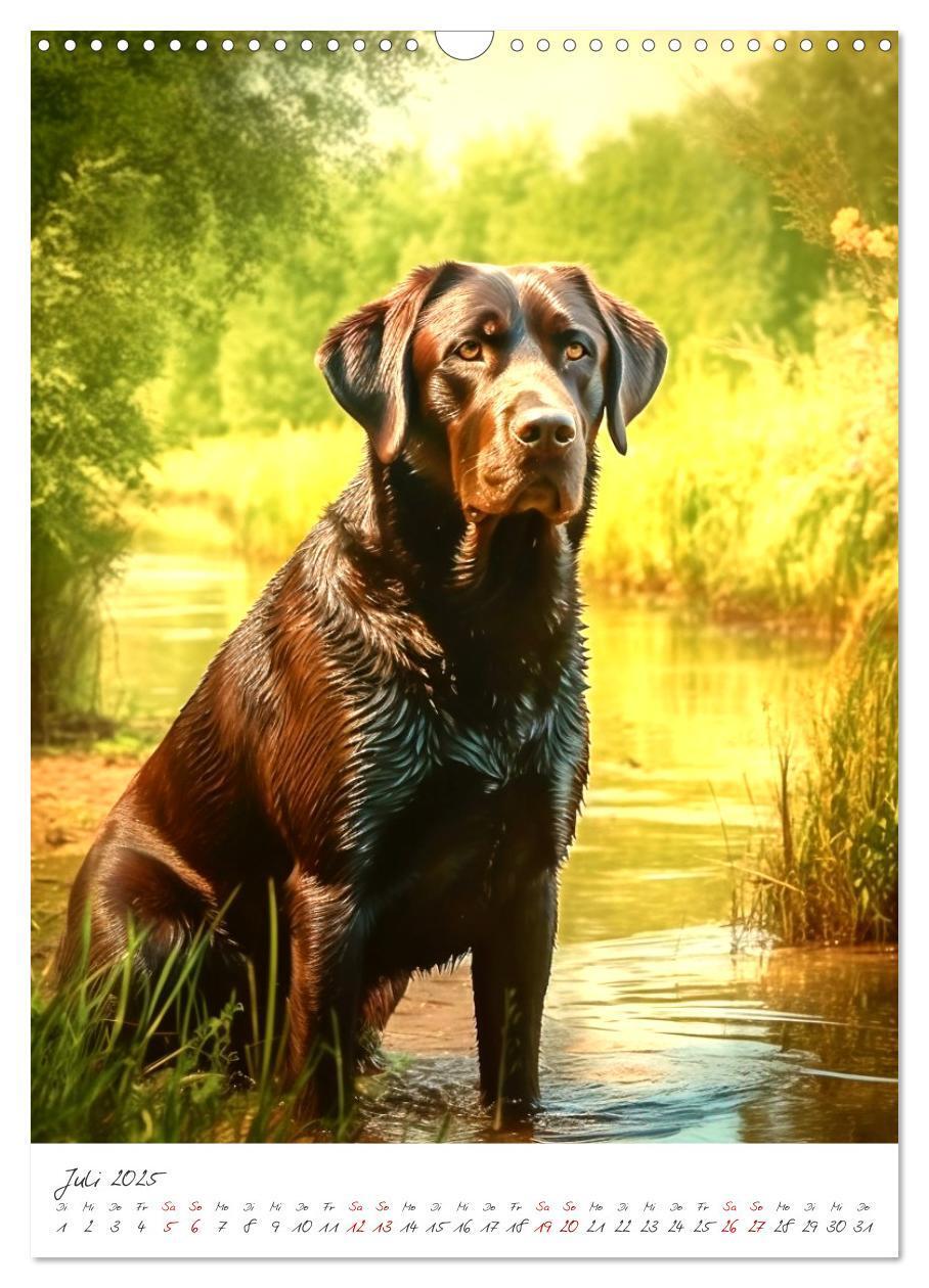 Bild: 9783435876891 | Der Labrador (Wandkalender 2025 DIN A3 hoch), CALVENDO Monatskalender