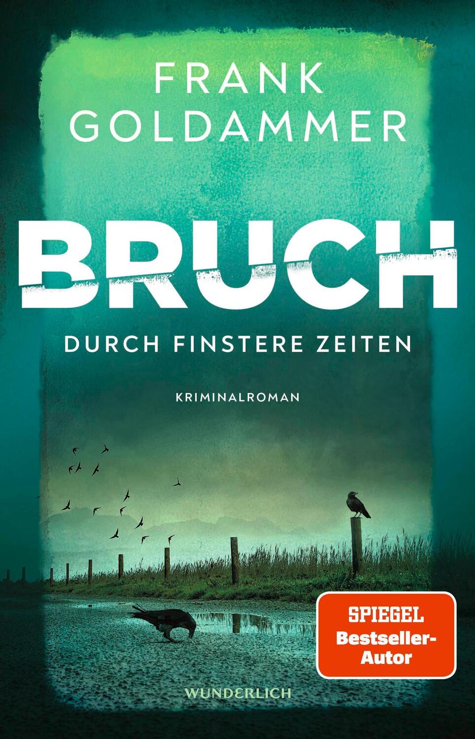 Cover: 9783805201131 | Bruch: Durch finstere Zeiten | Roman | Frank Goldammer | Taschenbuch