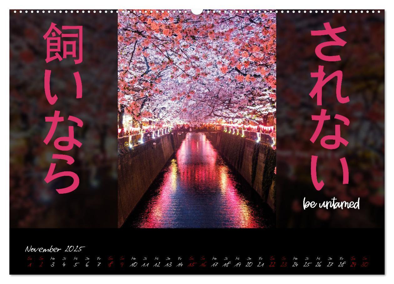 Bild: 9783435086030 | Inspiration Japan (Wandkalender 2025 DIN A2 quer), CALVENDO...