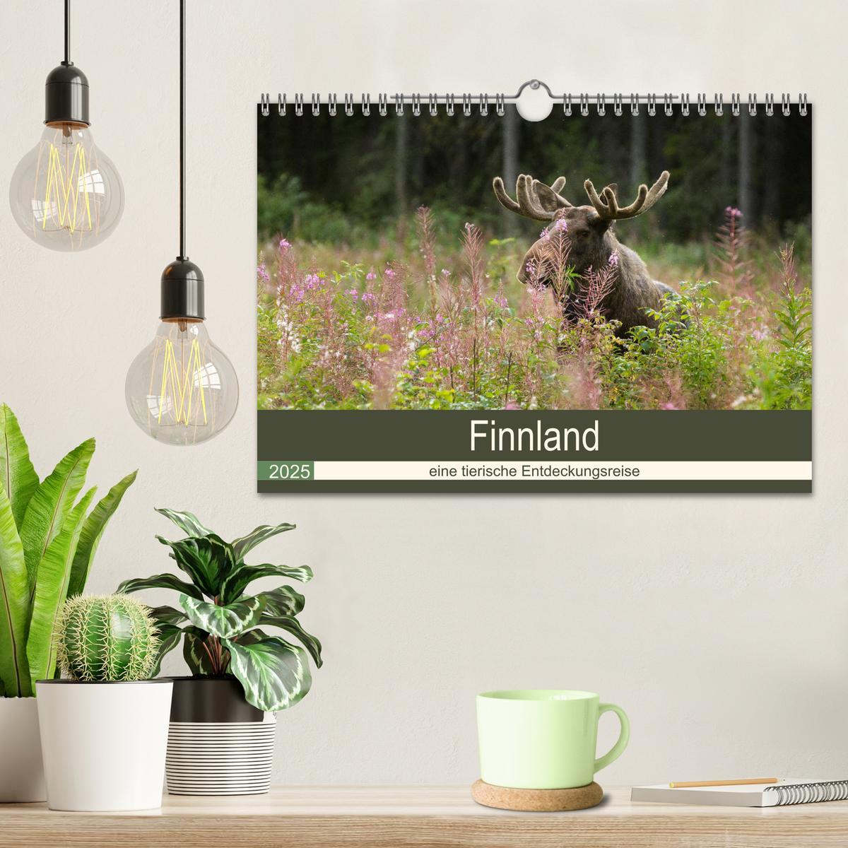 Bild: 9783435354986 | Finnland: eine tierische Entdeckungsreise (Wandkalender 2025 DIN A4...