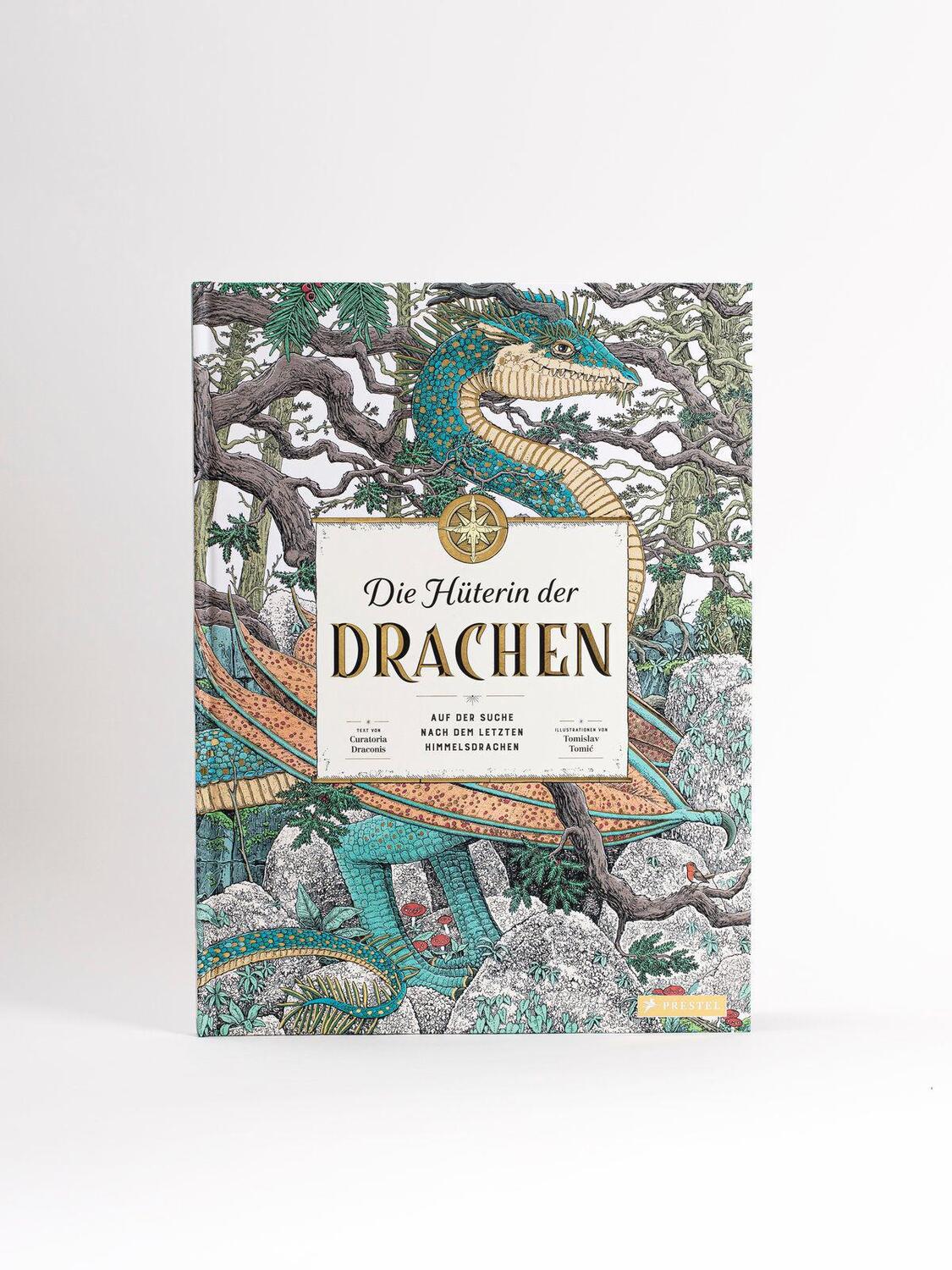 Bild: 9783791374833 | Die Hüterin der Drachen | Curatoria Draconis | Buch | 80 S. | Deutsch