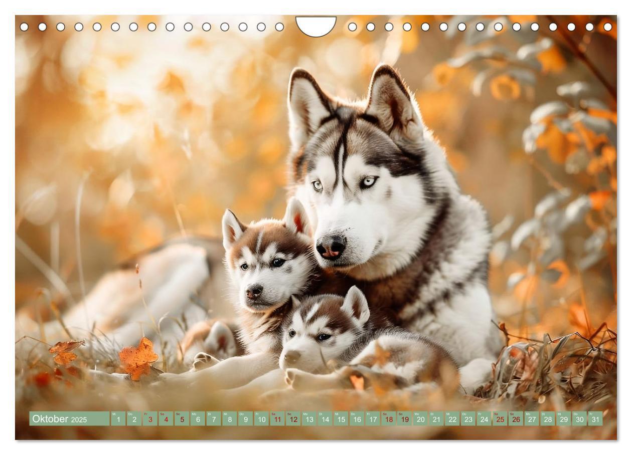 Bild: 9783383789182 | Tierkinder des Nordens (Wandkalender 2025 DIN A4 quer), CALVENDO...