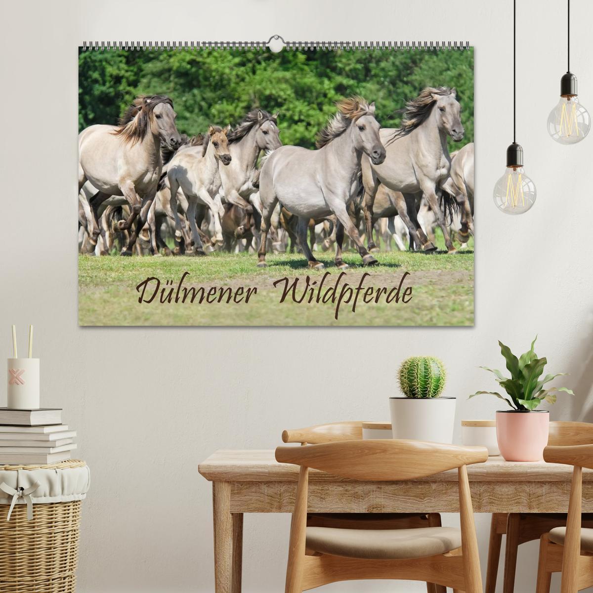 Bild: 9783435813056 | Dülmener Wildpferde (Wandkalender 2025 DIN A2 quer), CALVENDO...