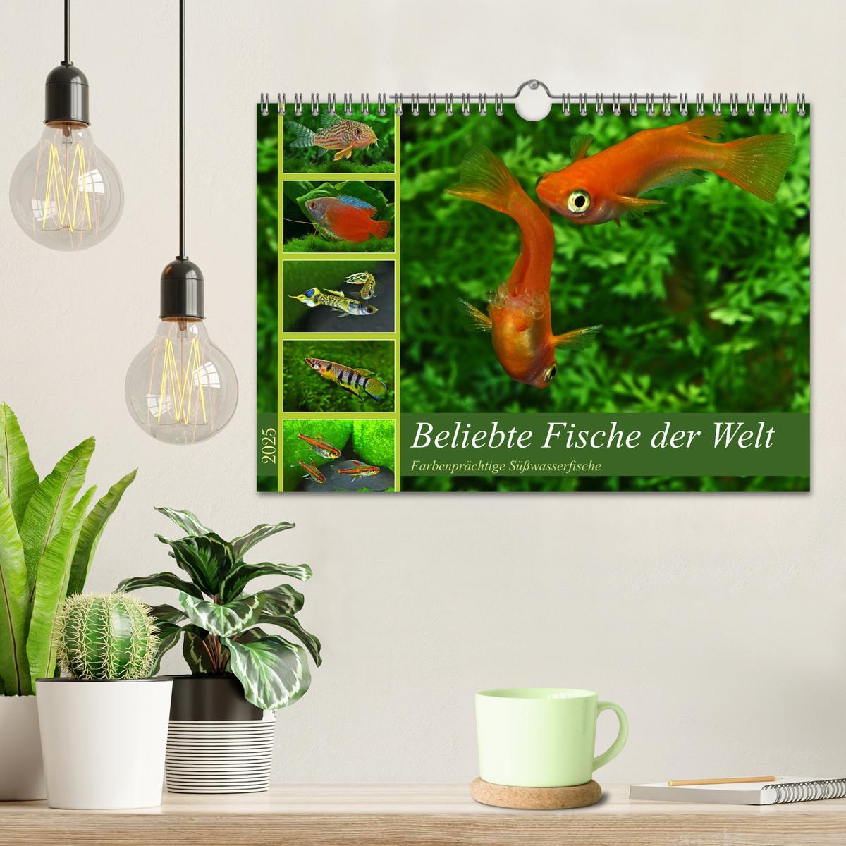 Bild: 9783383867392 | Beliebte Fische der Welt (Wandkalender 2025 DIN A4 quer), CALVENDO...