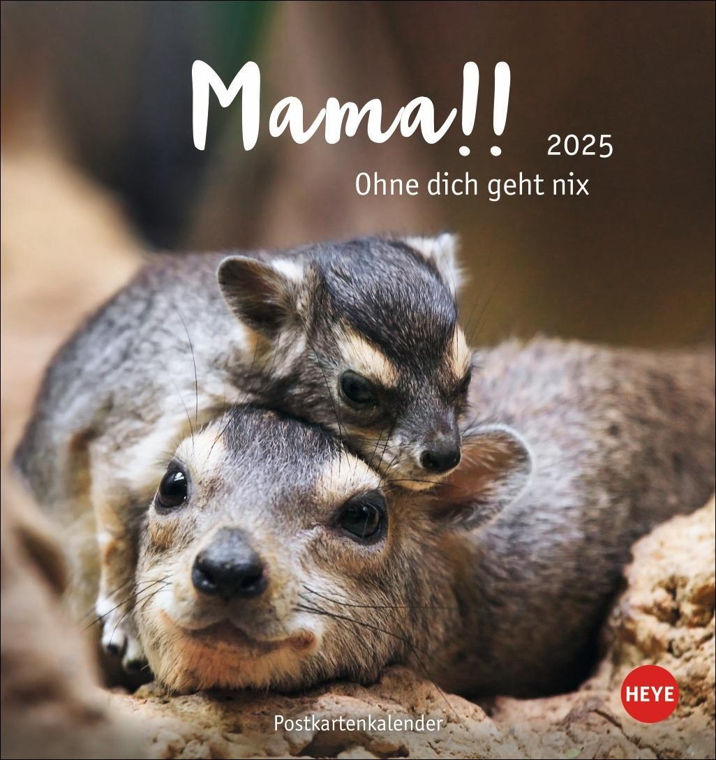 Cover: 9783756407194 | Mama! Postkartenkalender 2025 - Ohne dich geht nix! | Kalender | 13 S.