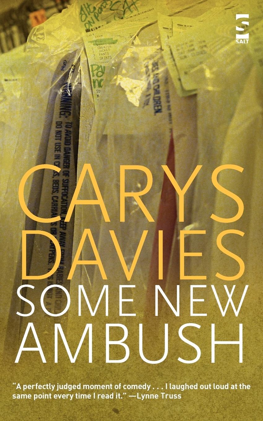 Cover: 9781844713417 | Some New Ambush | Carys Davies | Taschenbuch | Englisch | 2007