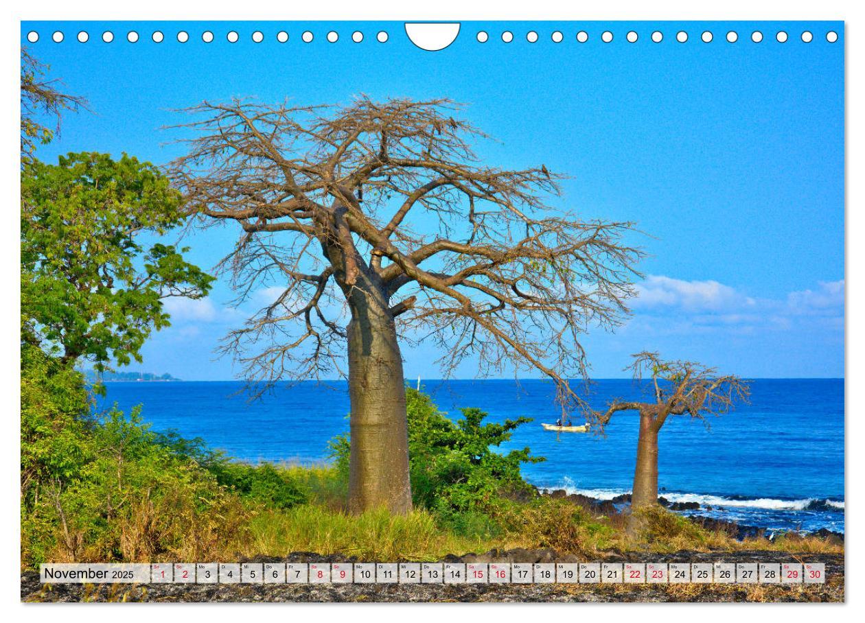 Bild: 9783435216475 | São Tomé - Inselparadies am Äquator (Wandkalender 2025 DIN A4...