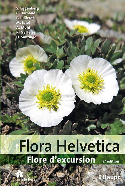 Cover: 9783258082837 | Flora Helvetica - Guide d'excursions | Stefan Eggenberg (u. a.) | Buch