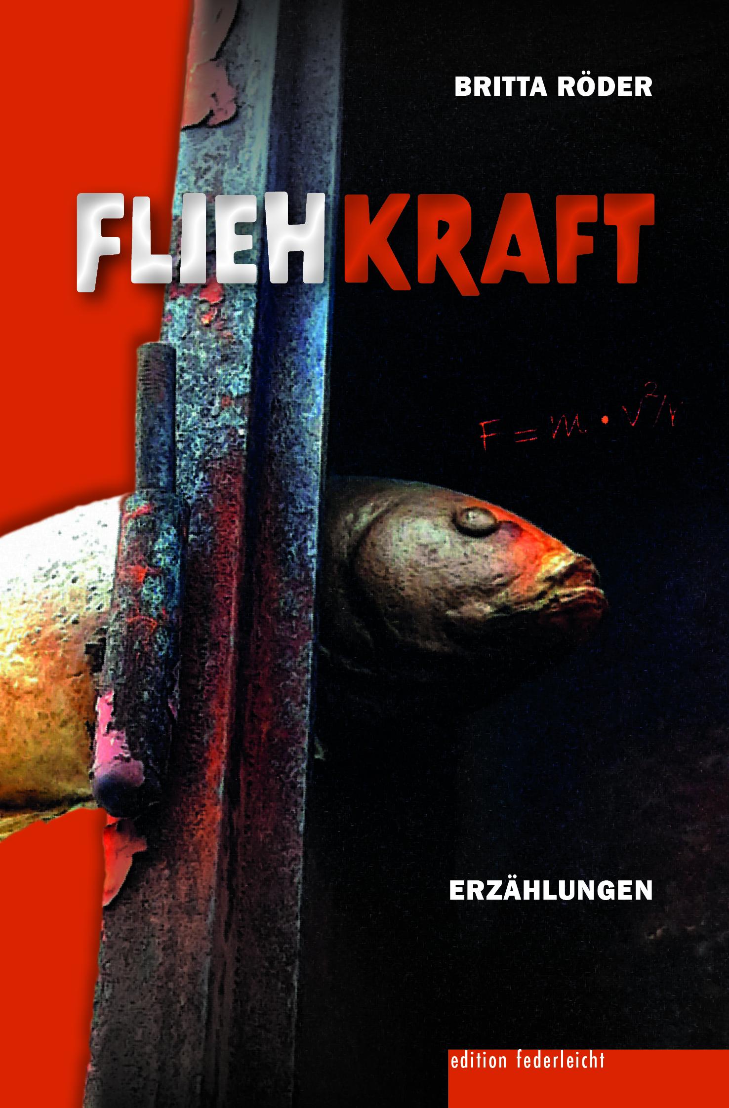 Cover: 9783689350093 | Fliehkraft | Erzählungen | Britta Röder | Taschenbuch | 244 S. | 2025