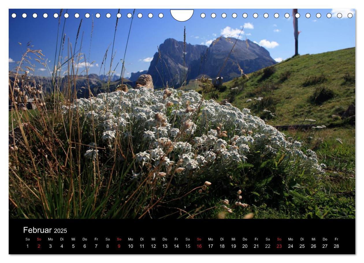 Bild: 9783435474233 | Alpe di Siusi - Seiser Alm (Wandkalender 2025 DIN A4 quer),...