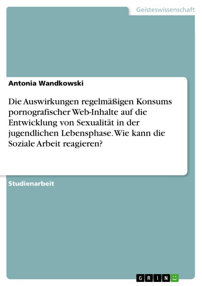 Cover: 9783346578792 | Die Auswirkungen regelmäßigen Konsums pornografischer Web-Inhalte...