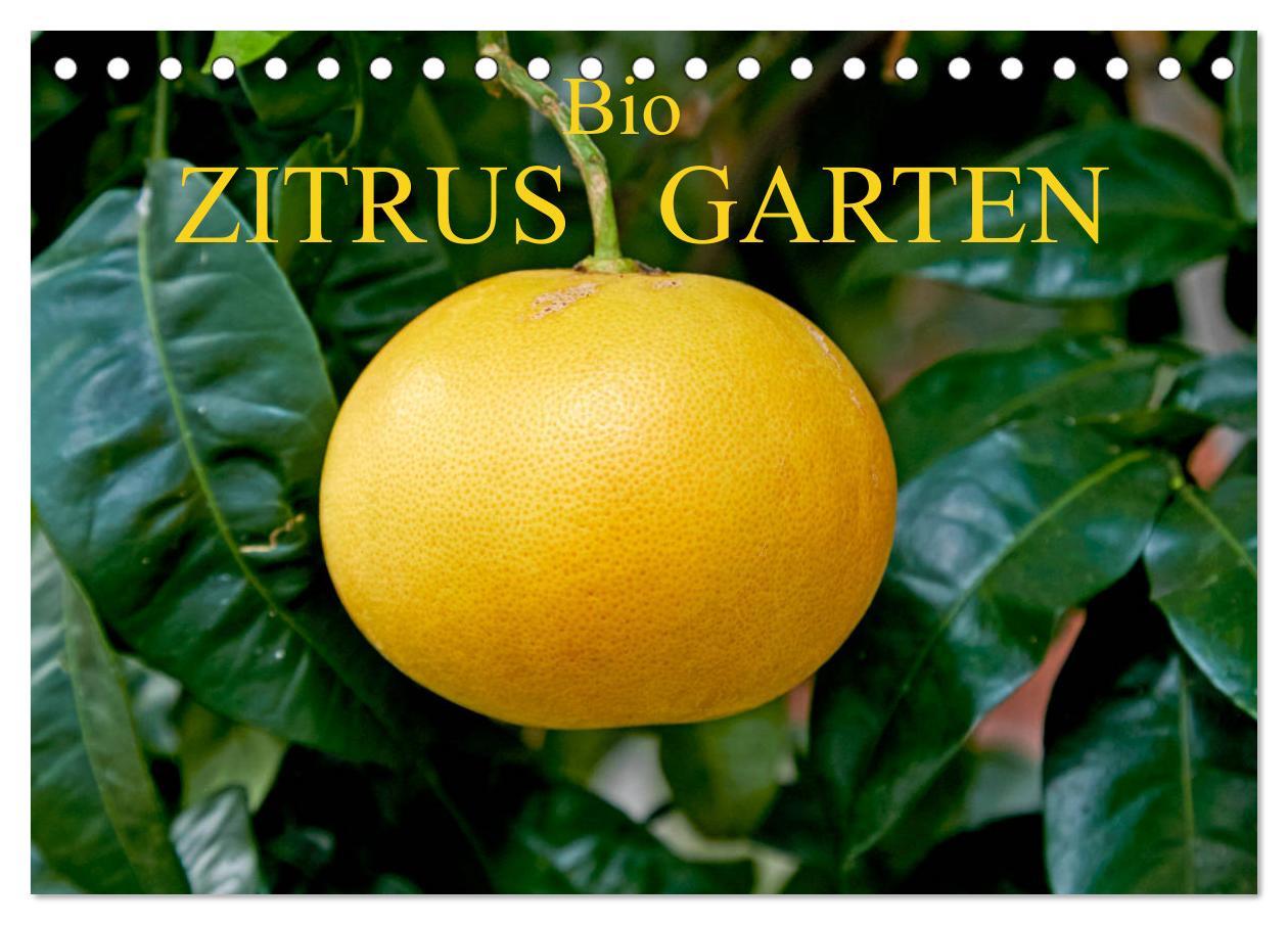 Cover: 9783435150076 | Bio Zitrus Garten (Tischkalender 2025 DIN A5 quer), CALVENDO...