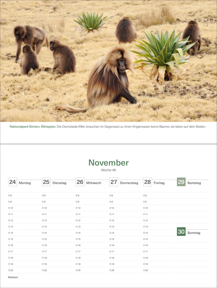 Bild: 9783965913714 | Das Naturerbe der Welt - KUNTH Tischkalender 2025 | Kalender | 54 S.