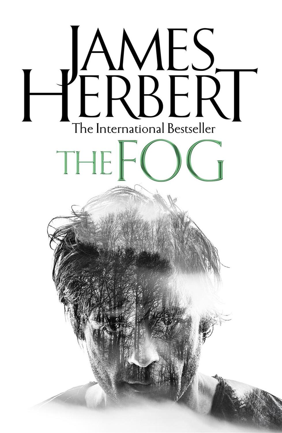 Cover: 9781509865451 | The Fog | James Herbert | Taschenbuch | Englisch | 2018